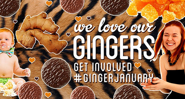 We love our gingers. Get involved #gingerjanuary.