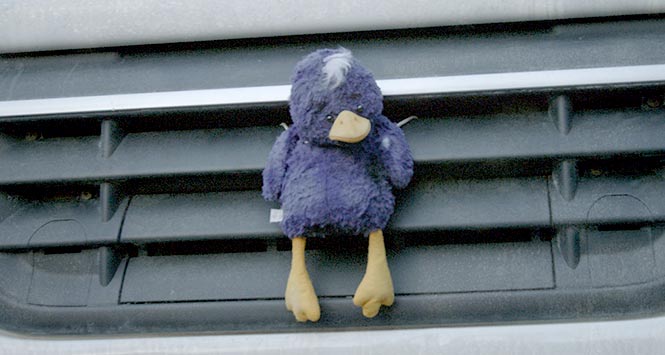 Toy duck attached to front of lorry