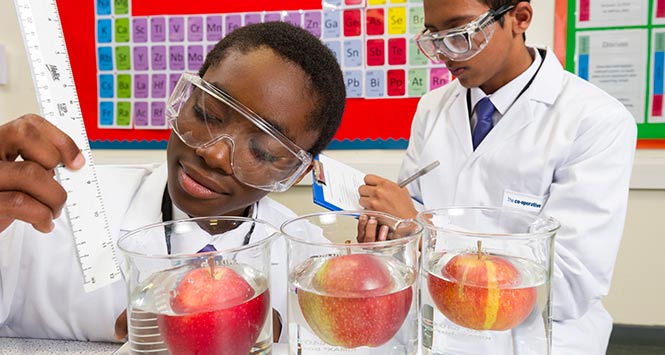 Young scientists test apples