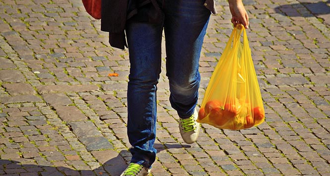 Shopper with carrier bag
