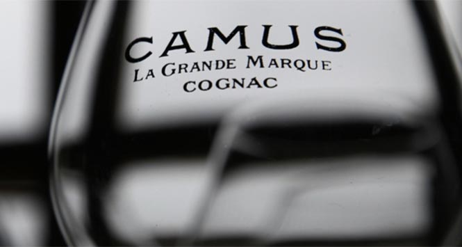 Camus cognac glass