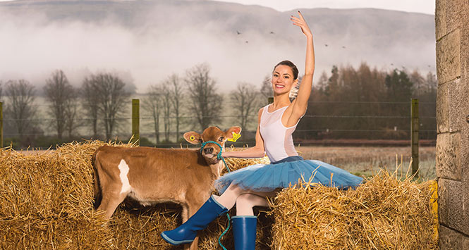 Ballet dancer with cow