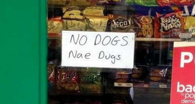Sign reading "No dogs/nae dugs"