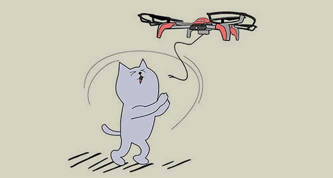 Cat drone