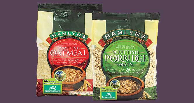 Hamylns porridge