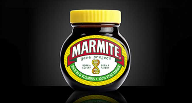 Marmite Gene Project jar
