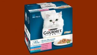 Gourmet cat food
