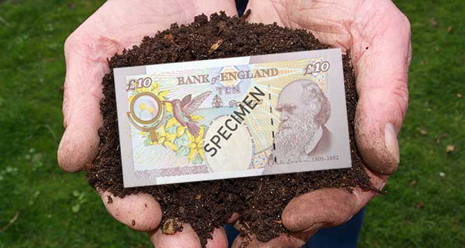 Darwin £10 note