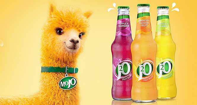 Mojo, J20's alpaca turned brand ambassador