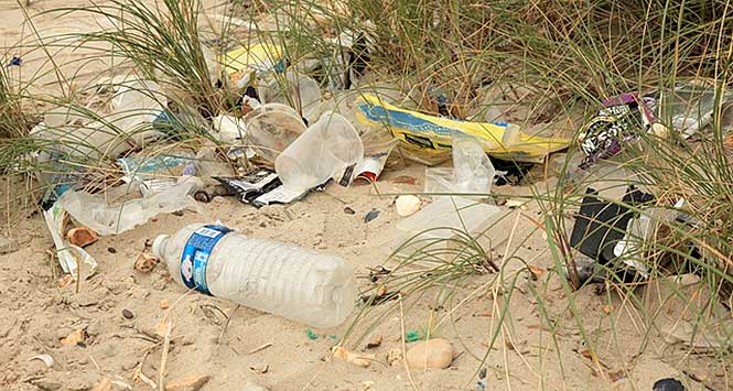 Beach litter
