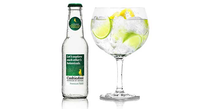 Gin and tonic