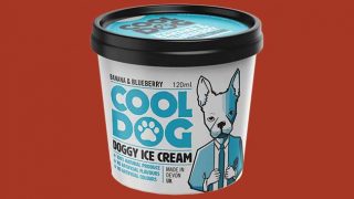 Cool Dog ice cream