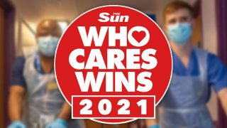 The Sun Who Cares Wins 2021