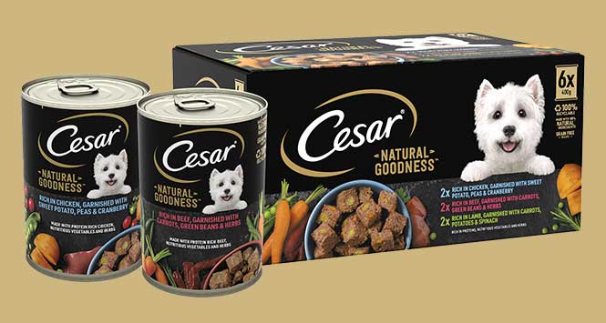 Cesar Natural Serve range