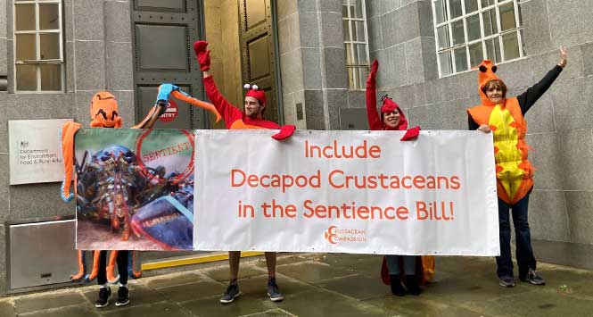 Protesters dressed as lobsters