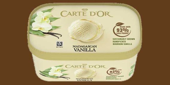 Carte D'Or ice cream in paper tub