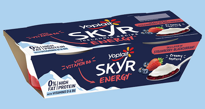 Skyr Energy